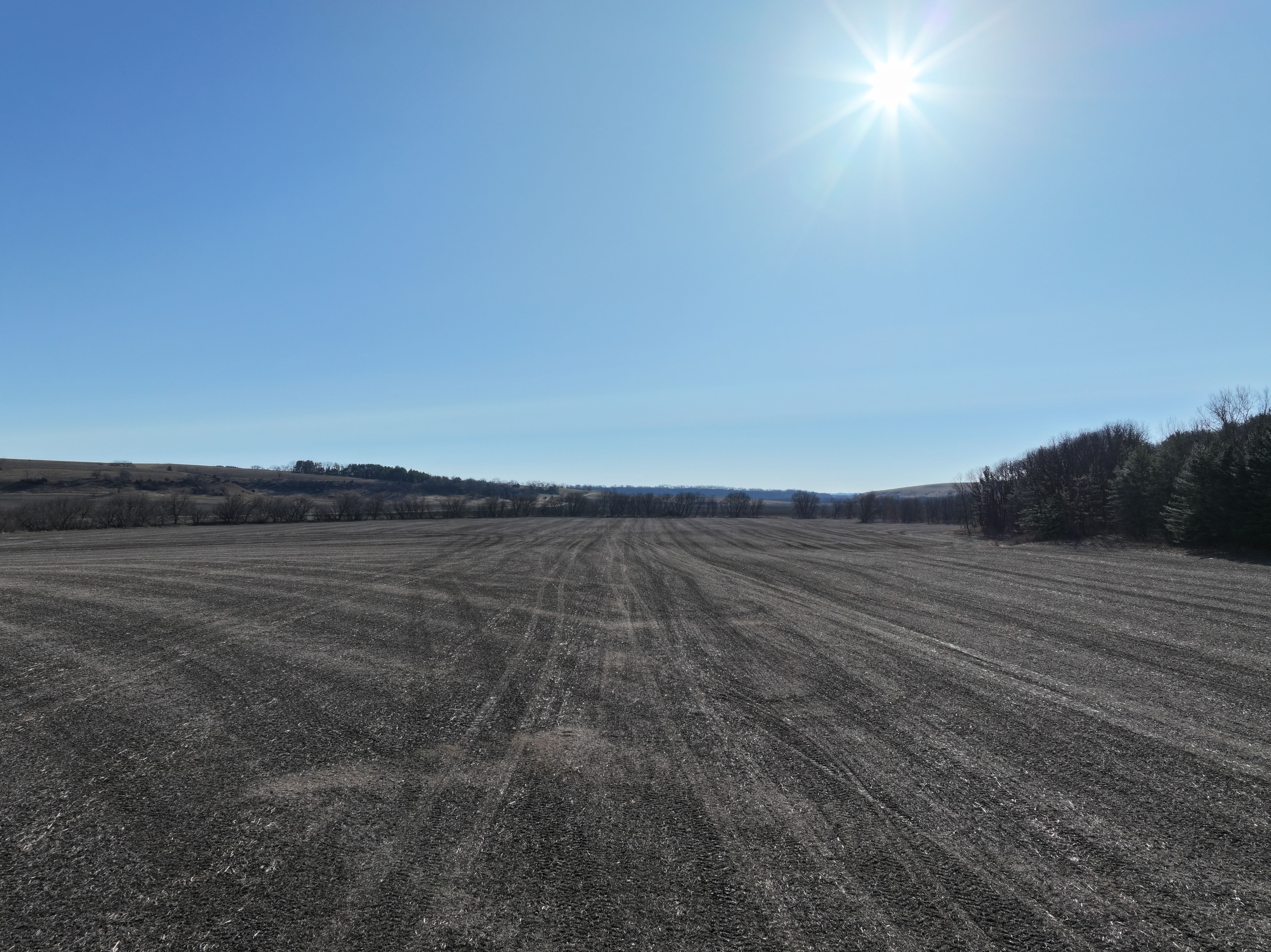 Listing Photo: Lafayette-County-Wisconsin-Farmland-For-Sale (3)